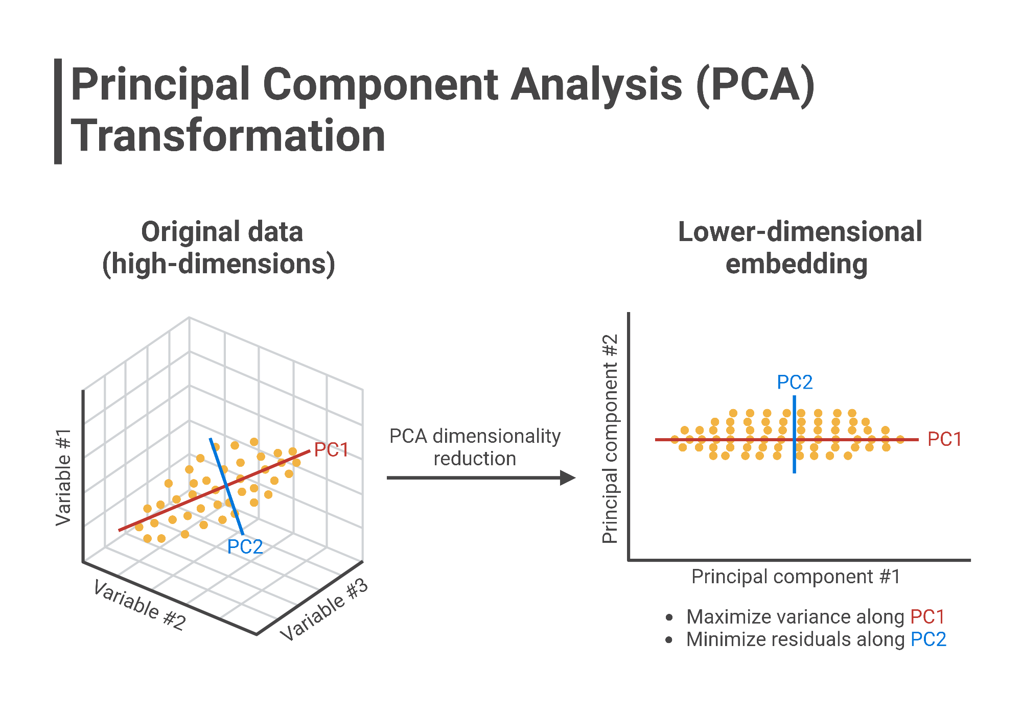 Principal Component Analysis & Exploratory Factor Analysis